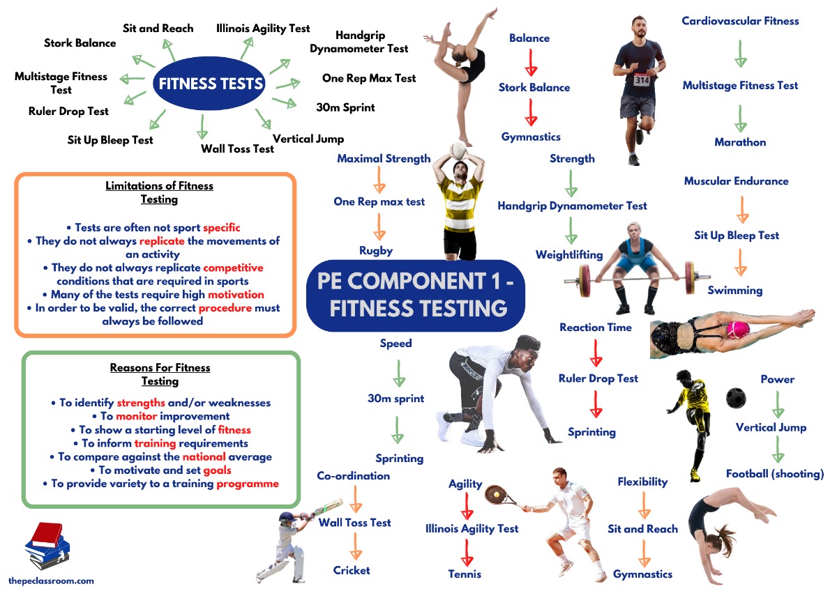 Cheat Sheet Fitness Testing PE Teachers